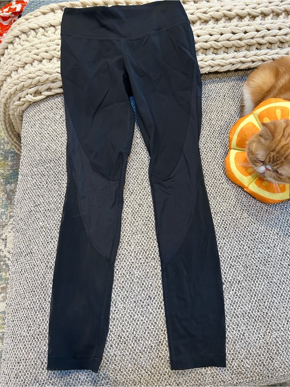 TNA Black Mid-Rise Jeggings with Contour Panels